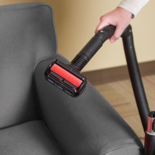 Pet Hair Beware Fur Remover - Simplicity
