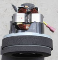 Clean Air Motor Assembly - Riccar Radiance & Simplicity Synergy
