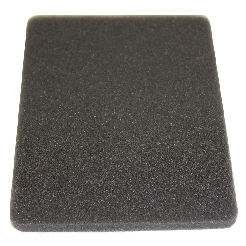 Exhaust Charcoal Filter - Eureka
