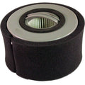 Hepa Filter - Eureka (DCF-20)