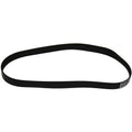 Belt - Eureka Replacement (Style R 4800) (2-Pack)