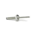 Striker Plate Rivet  - Rug Doctor (3/16)